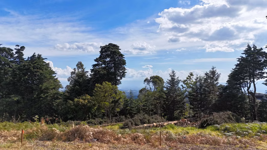 EN VENTA - AMPLIO LOTE CON VISTAS – CABUYAL – SAN JUAN DE POAS - Imagen 9