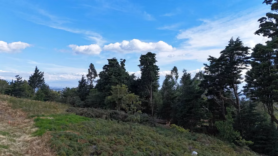 EN VENTA - AMPLIO LOTE CON VISTAS – CABUYAL – SAN JUAN DE POAS - Imagen 3