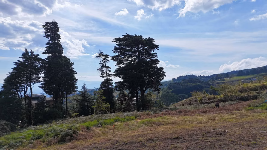 EN VENTA - AMPLIO LOTE CON VISTAS – CABUYAL – SAN JUAN DE POAS - Imagen 11
