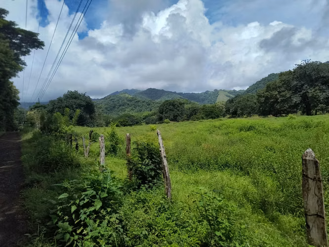 SE VENDE FINCA GANADERA EN GUANACASTE! 222 HECTÁREAS FI-136 - Imagen 5