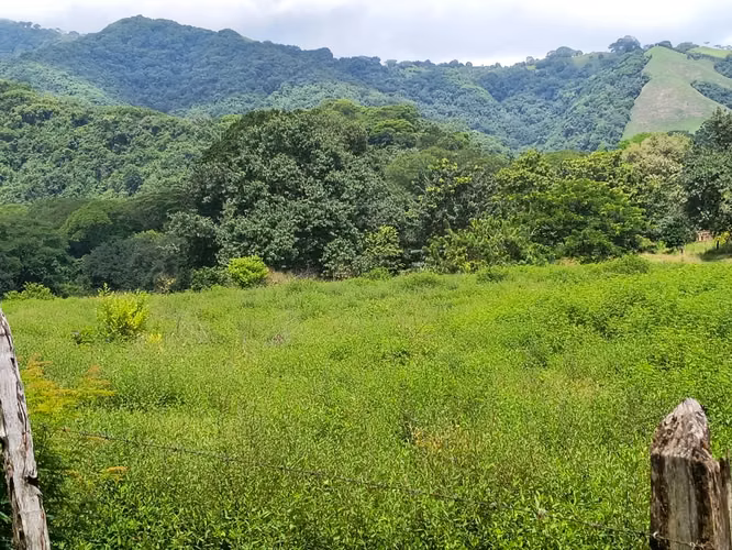 SE VENDE FINCA GANADERA EN GUANACASTE! 222 HECTÁREAS FI-136 - Imagen 8