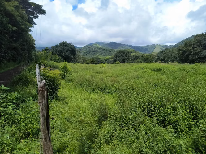 SE VENDE FINCA GANADERA EN GUANACASTE! 222 HECTÁREAS FI-136 - Imagen 4