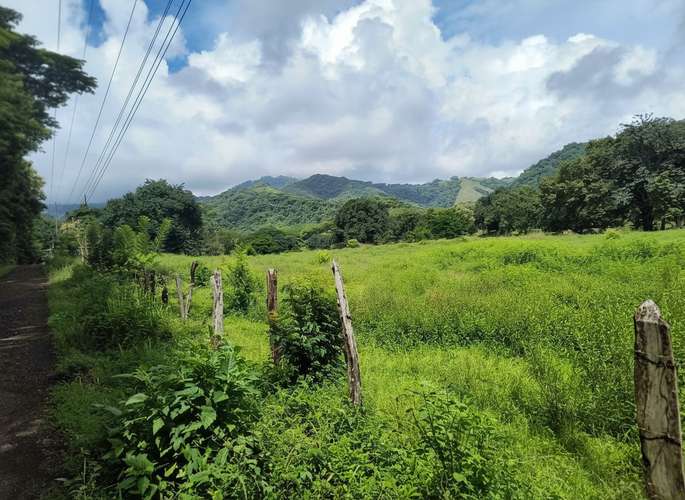 SE VENDE FINCA GANADERA EN GUANACASTE DE 222 HECTÁREAS:  una oportunidad de inversión única