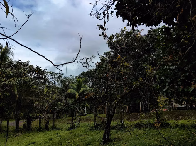 EN VENTA - Lote - El Mastate - Orotina - Fraccionamiento Río Machuca - Imagen 17