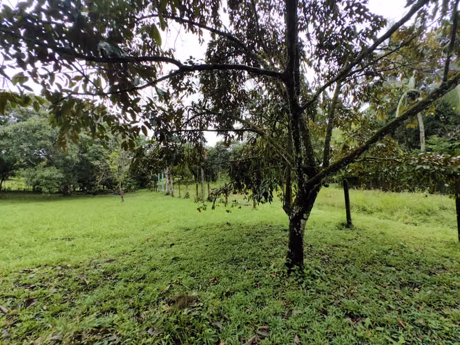 EN VENTA - Lote - El Mastate - Orotina - Fraccionamiento Río Machuca - Imagen 3