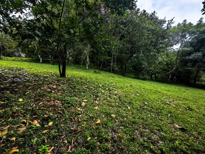 EN VENTA - Lote - El Mastate - Orotina - Fraccionamiento Río Machuca - Imagen 2
