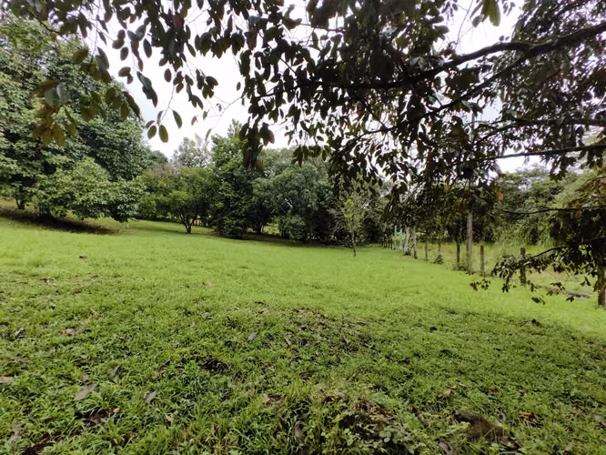 EN VENTA - Lote - El Mastate - Orotina - Fraccionamiento Río Machuca - Imagen 15