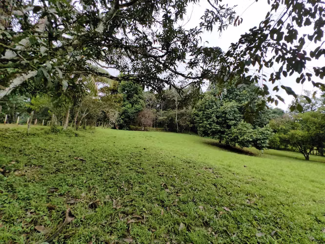 EN VENTA - Lote - El Mastate - Orotina - Fraccionamiento Río Machuca - Imagen 12