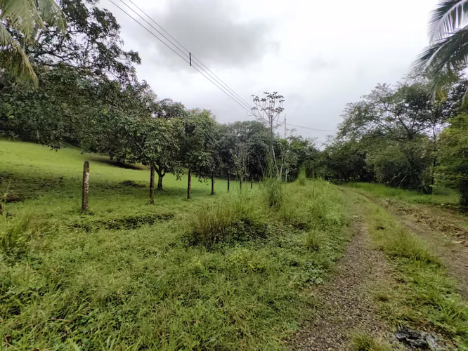 EN VENTA - Lote - El Mastate - Orotina - Fraccionamiento Río Machuca - Imagen 20