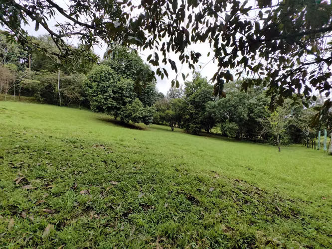 EN VENTA - Lote - El Mastate - Orotina - Fraccionamiento Río Machuca - Imagen 14