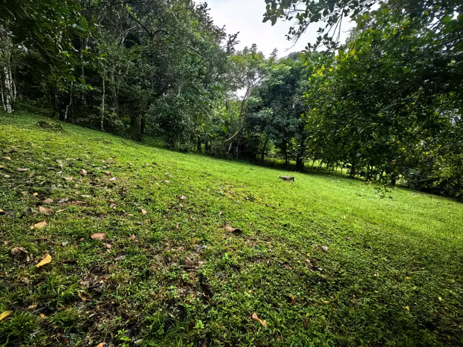 EN VENTA - Lote - El Mastate - Orotina - Fraccionamiento Río Machuca - Imagen 9
