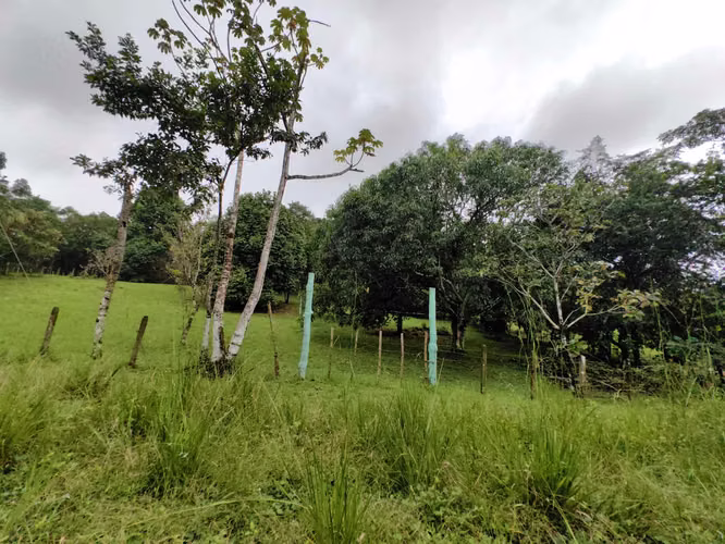 EN VENTA - Lote - El Mastate - Orotina - Fraccionamiento Río Machuca - Imagen 16
