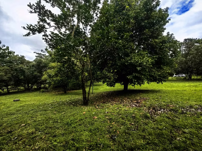 EN VENTA - Lote - El Mastate - Orotina - Fraccionamiento Río Machuca - Imagen 10