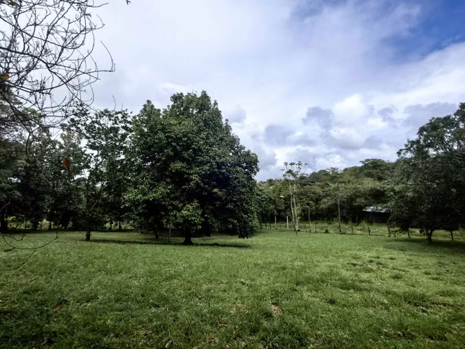 EN VENTA - Lote - El Mastate - Orotina - Fraccionamiento Río Machuca - Imagen 8