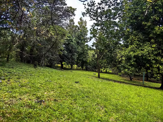 EN VENTA - Lote - El Mastate - Orotina - Fraccionamiento Río Machuca - Imagen 7