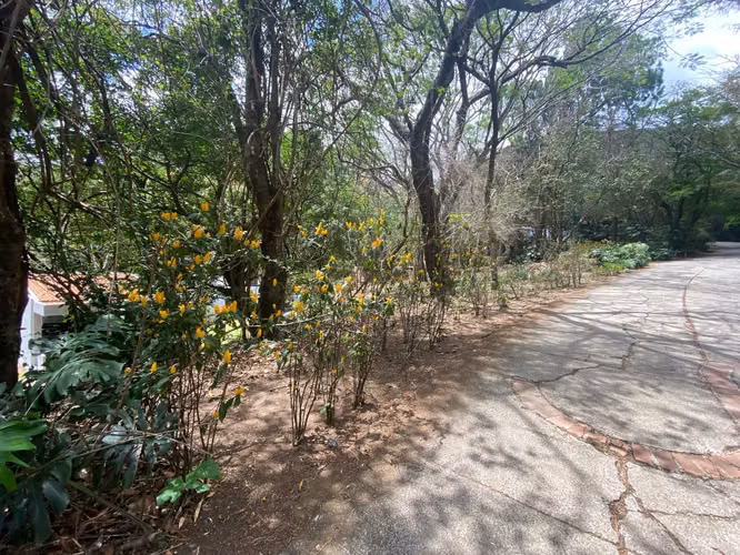 Rebajado!! Venta de Lote en Reserva Natural, Santa Ana. 5694