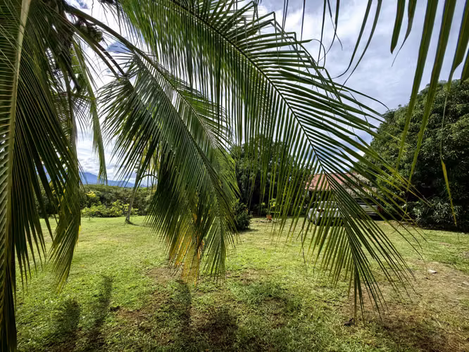 EN VENTA- Quinta con Cabaña- Tigre de Orotina