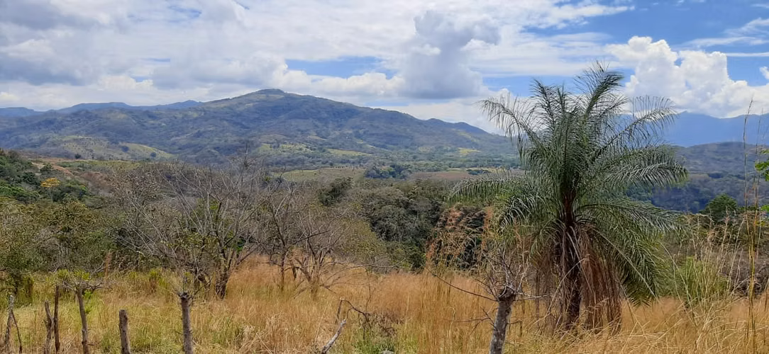 Oportunidad oportunidad Venta de terreno en Atenas Distrito Jesús - Imagen 16