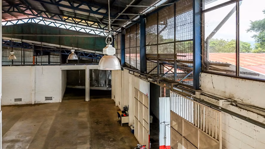 VENTA DE BODEGAS EN ALAJUELA OROTINA. - Imagen 5