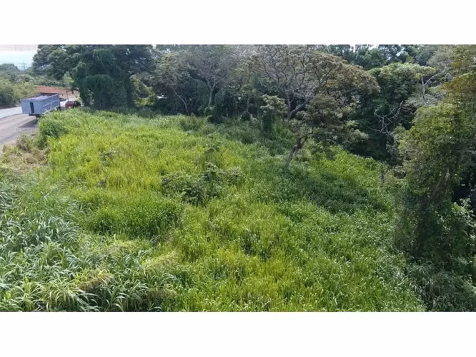 Vendo lote amplio en La Garita, Alajuela, Negociable - Imagen 5