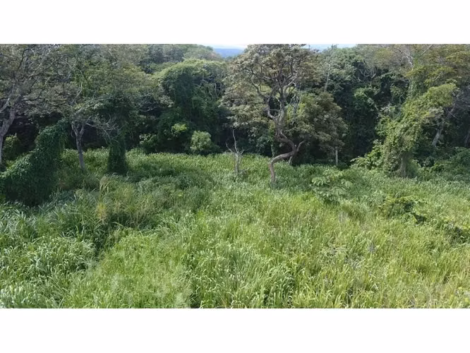 Vendo lote amplio en La Garita, Alajuela, Negociable - Imagen 3