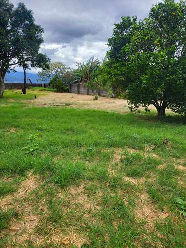 Terreno en Venta en San Joaquín de Flores - Imagen 9