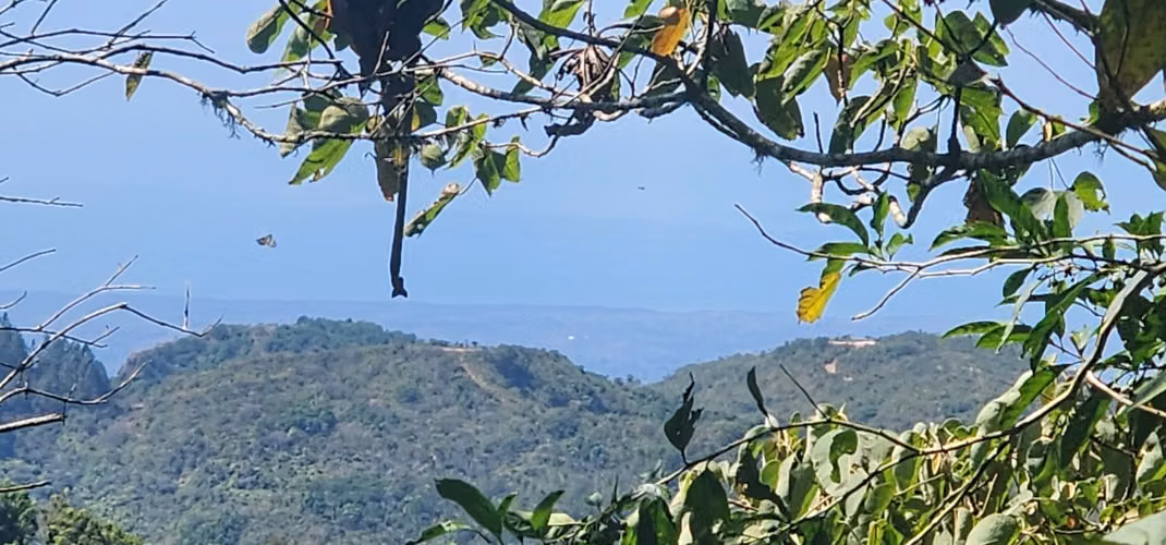 Finca en venta en San Ramon con vistas al océano 25.6 hectáreas - Imagen 17