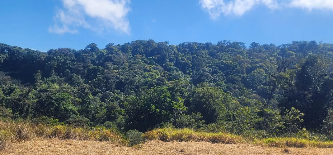Finca en venta en San Ramon con vistas al océano 25.6 hectáreas - Imagen 10