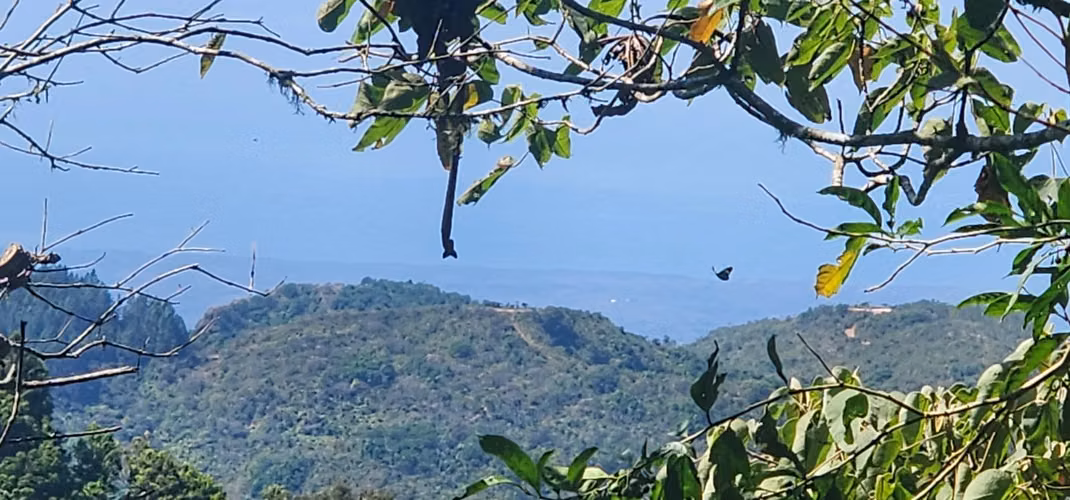 Finca en venta en San Ramon con vistas al océano 25.6 hectáreas - Imagen 14