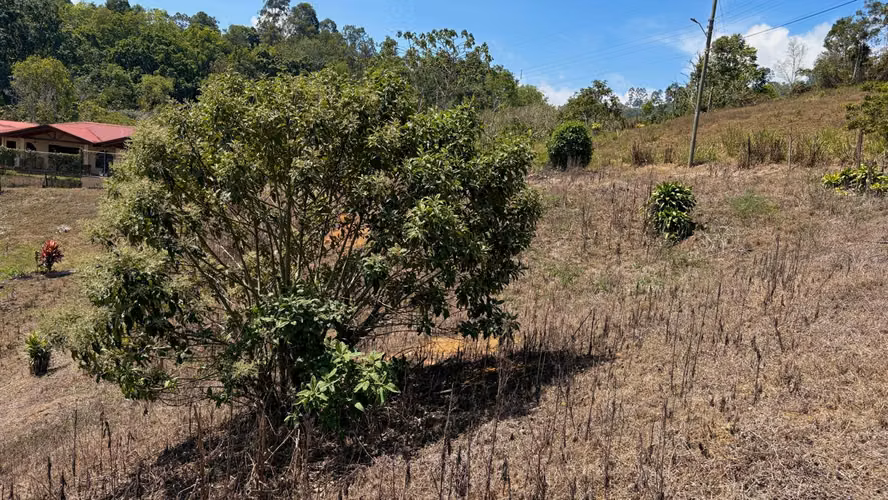 Venta de lotes en la Sabana, Tarrazú, Zona de los Santos