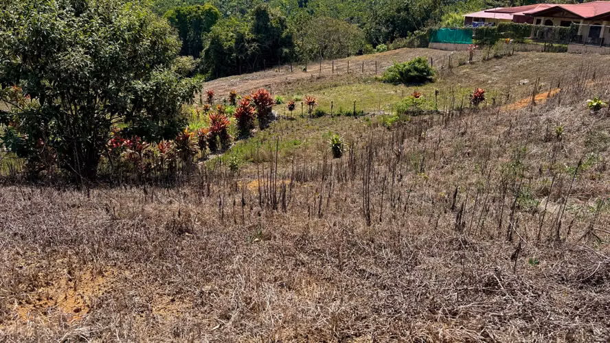 Venta de lotes en la Sabana, Tarrazú, Zona de los Santos