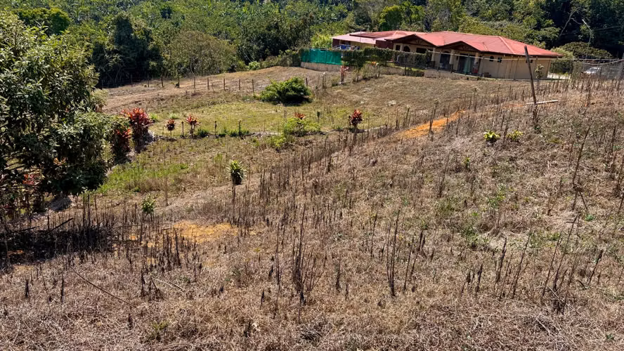 Venta de lotes en la Sabana, Tarrazú, Zona de los Santos