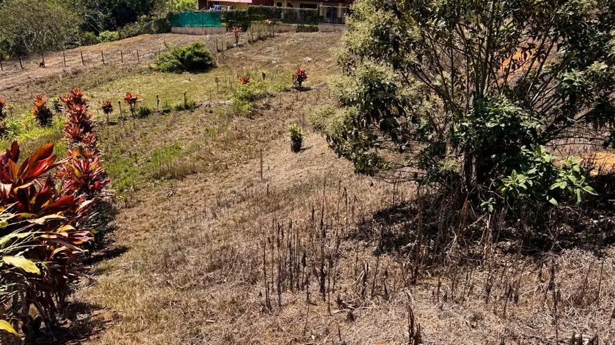 Venta de lotes en la Sabana, Tarrazú, Zona de los Santos