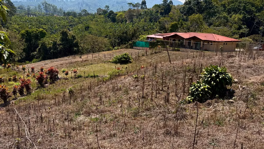 Venta de lotes en la Sabana, Tarrazú, Zona de los Santos