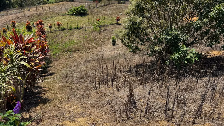 Venta de lotes en la Sabana, Tarrazú, Zona de los Santos