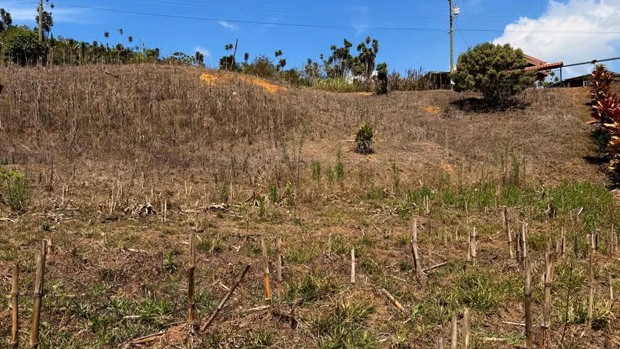 Venta de lotes en la Sabana, Tarrazú, Zona de los Santos