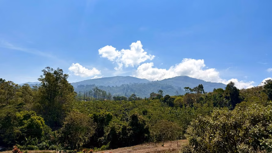 Venta de lotes en la Sabana, Tarrazú, Zona de los Santos
