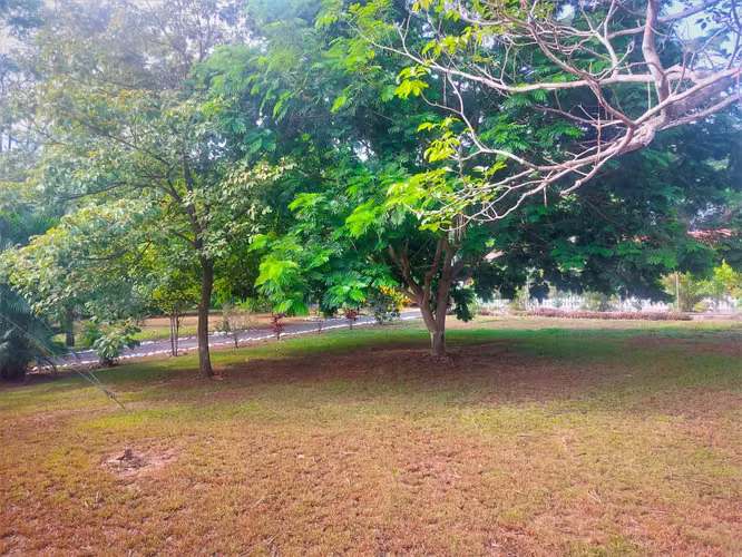 Se vende linda y amplia Casa amueblada en Limonal, Coyolar (MV).