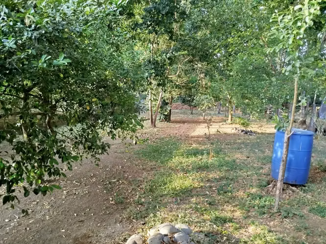 Hermosa Cabaña en el Corazon de Orotina!