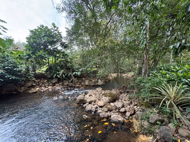 Venta de terreno con tres casas. San Mateo, Alajuela (SV)