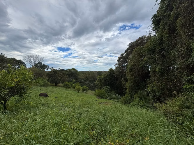 Venta de terreno con tres casas. San Mateo, Alajuela (SV)