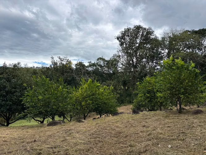 Venta de terreno con tres casas. San Mateo, Alajuela (SV)