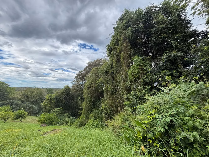 Venta de terreno con tres casas. San Mateo, Alajuela (SV)