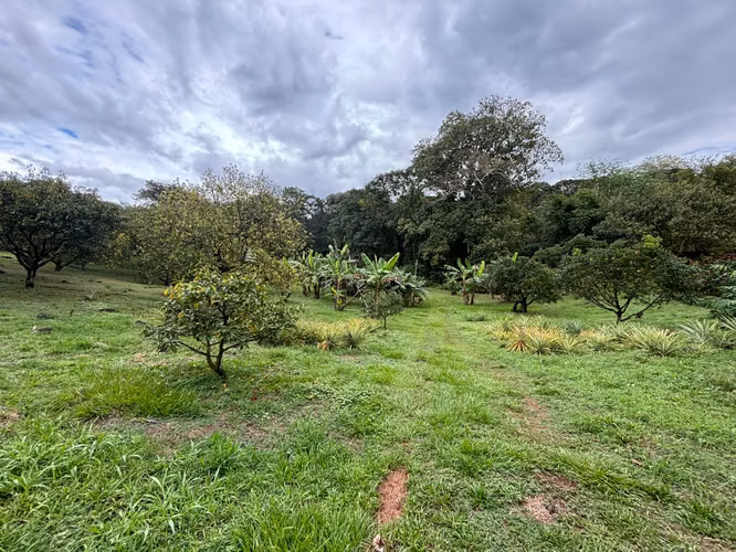 Venta de terreno con tres casas. San Mateo, Alajuela (SV)