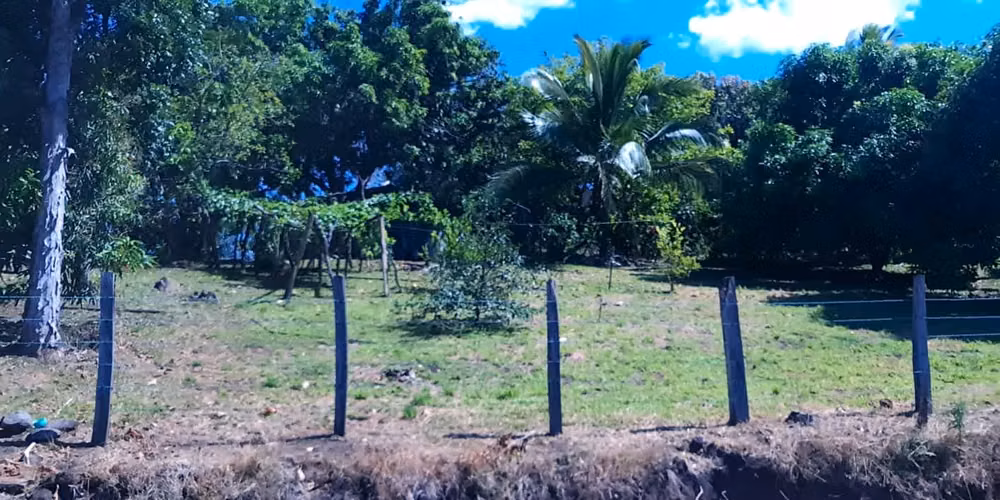 Higuito de San Mateo, excelente vista al Golfo de Nicoya - Imagen 14