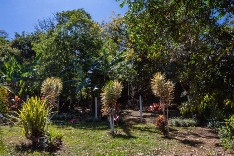 Terreno en venta en Curridabat, La Colina - Imagen 5