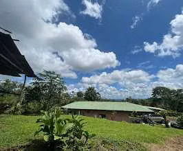 Finca en venta en Venecia de San Carlos.