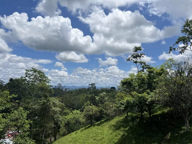 Finca en venta en Venecia de San Carlos.