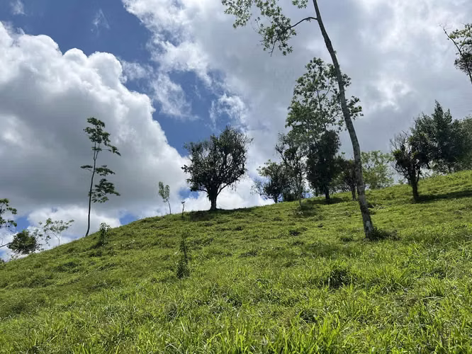 Finca en venta en Venecia de San Carlos.