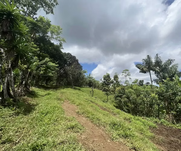 Finca en venta en Venecia de San Carlos.